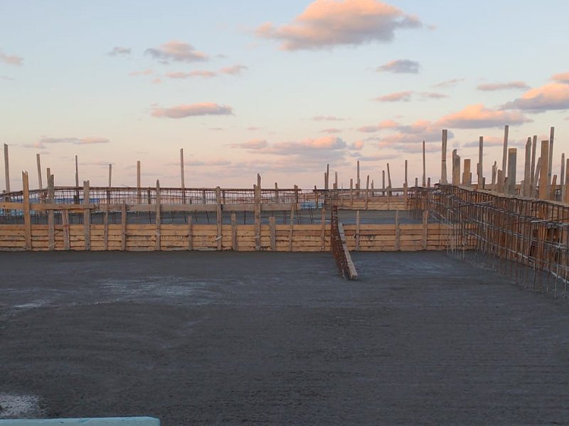 during execution (12)