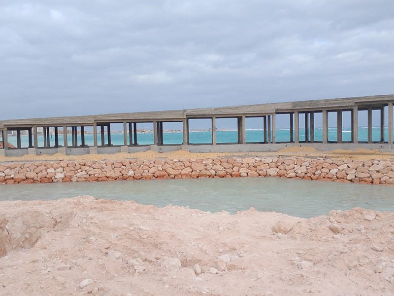 during execution (14)